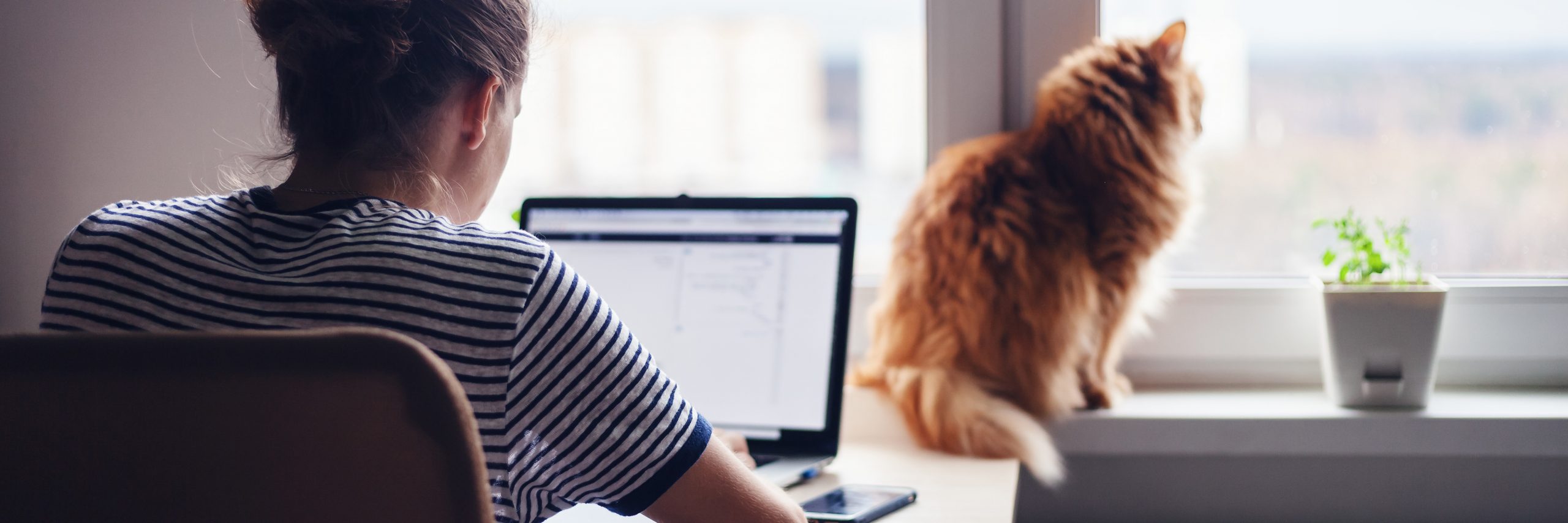 A woman sitting at a desk looking at her laptop. A cat looking out the window in the background.